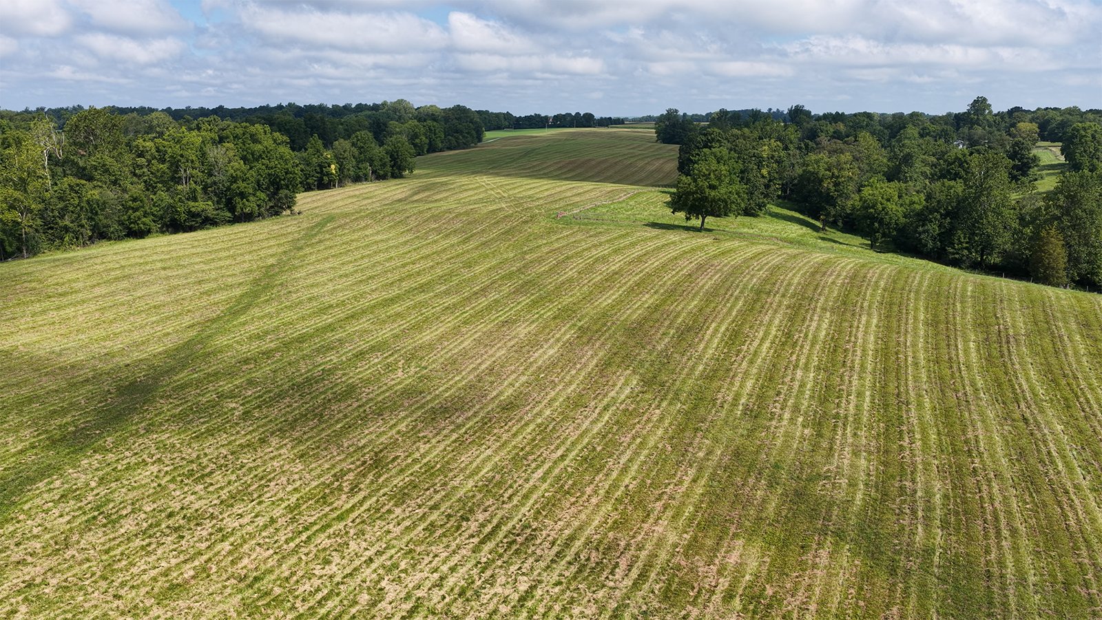 Property photo 15 - LAND AUCTION - 224+/-ACRES OFFERED IN 8 TRACTS IN WAYNE COUNTY, INDIANA
