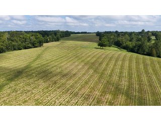 Property photo 15 - LAND AUCTION - 224+/-ACRES OFFERED IN 8 TRACTS IN WAYNE COUNTY, INDIANA