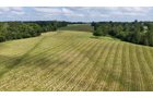 Property photo 15 - LAND AUCTION - 224+/-ACRES OFFERED IN 8 TRACTS IN WAYNE COUNTY, INDIANA