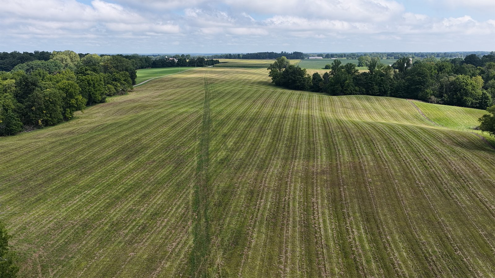 Property photo 16 - LAND AUCTION - 224+/-ACRES OFFERED IN 8 TRACTS IN WAYNE COUNTY, INDIANA