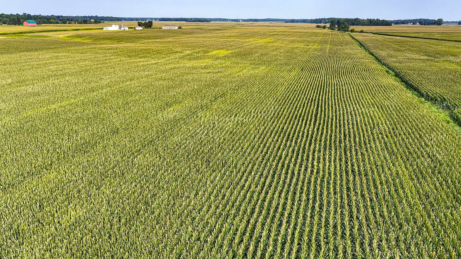 Property photo 3 - LAND AUCTION - 130+/-ACRES OF PRODUCTIVE FARMLAND OFFERED IN 2 TRACTS IN ST JOSEPH COUNTY, INDIANA