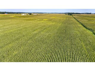 Property photo 3 - LAND AUCTION - 130+/-ACRES OF PRODUCTIVE FARMLAND OFFERED IN 2 TRACTS IN ST JOSEPH COUNTY, INDIANA