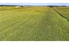 Property photo 3 - LAND AUCTION - 130+/-ACRES OF PRODUCTIVE FARMLAND OFFERED IN 2 TRACTS IN ST JOSEPH COUNTY, INDIANA