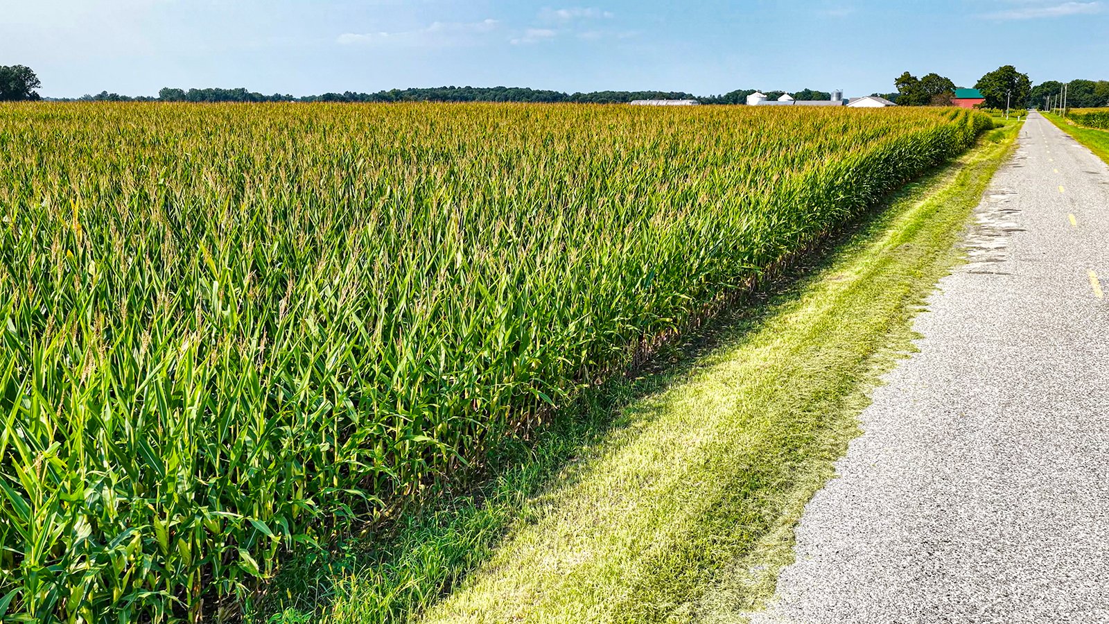 Property photo 15 - LAND AUCTION - 130+/-ACRES OF PRODUCTIVE FARMLAND OFFERED IN 2 TRACTS IN ST JOSEPH COUNTY, INDIANA