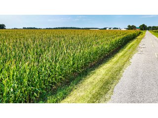 Property photo 15 - LAND AUCTION - 130+/-ACRES OF PRODUCTIVE FARMLAND OFFERED IN 2 TRACTS IN ST JOSEPH COUNTY, INDIANA
