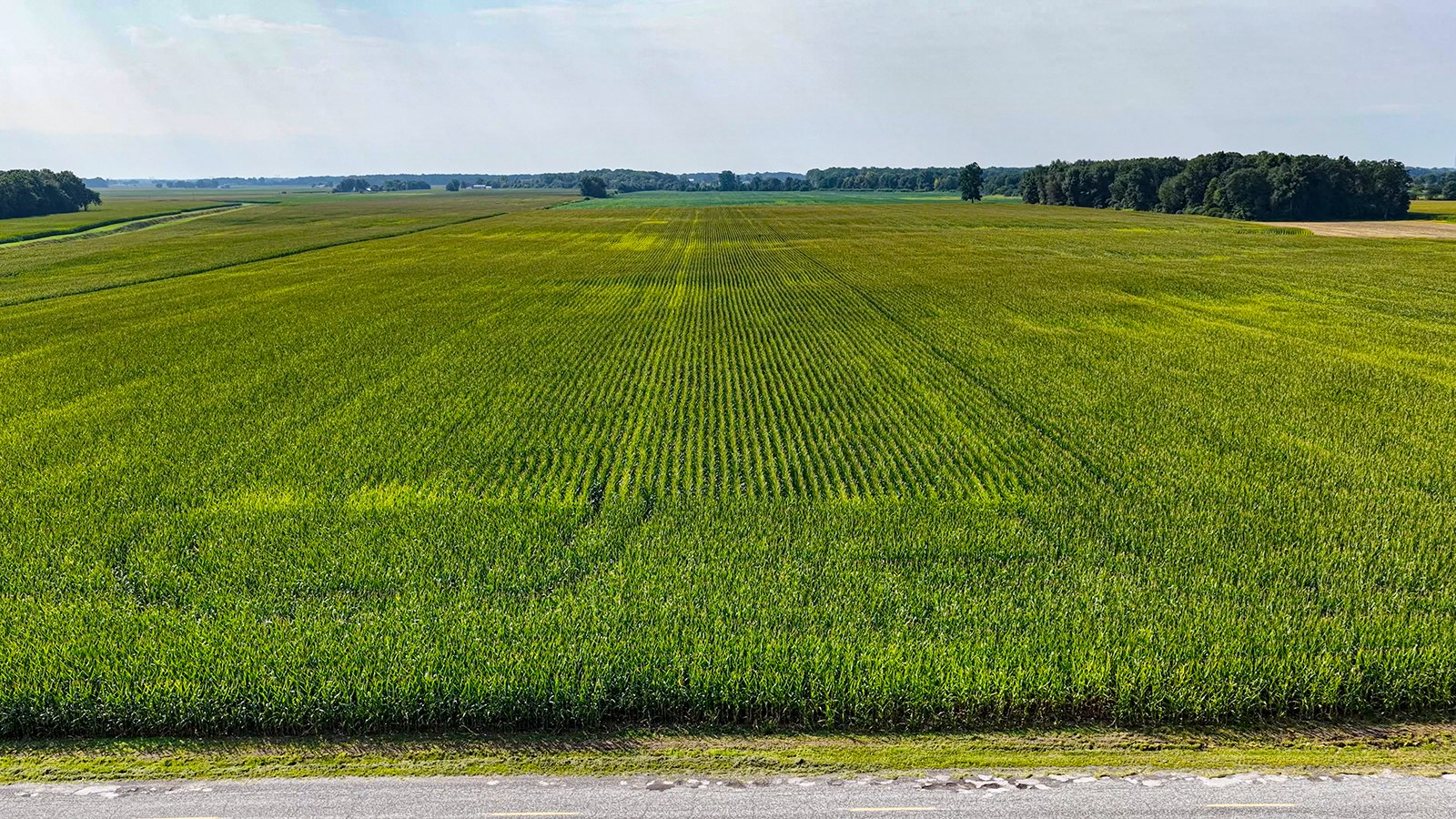 Property photo 12 - LAND AUCTION - 130+/-ACRES OF PRODUCTIVE FARMLAND OFFERED IN 2 TRACTS IN ST JOSEPH COUNTY, INDIANA