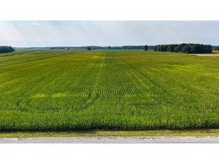 Property photo 12 - LAND AUCTION - 130+/-ACRES OF PRODUCTIVE FARMLAND OFFERED IN 2 TRACTS IN ST JOSEPH COUNTY, INDIANA
