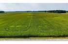 Property photo 12 - LAND AUCTION - 130+/-ACRES OF PRODUCTIVE FARMLAND OFFERED IN 2 TRACTS IN ST JOSEPH COUNTY, INDIANA