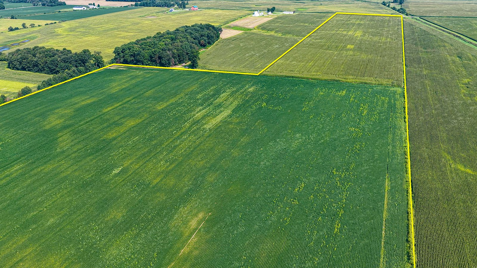 Property photo 1 - LAND AUCTION - 130+/-ACRES OF PRODUCTIVE FARMLAND OFFERED IN 2 TRACTS IN ST JOSEPH COUNTY, INDIANA