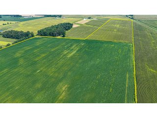 Property photo 1 - LAND AUCTION - 130+/-ACRES OF PRODUCTIVE FARMLAND OFFERED IN 2 TRACTS IN ST JOSEPH COUNTY, INDIANA