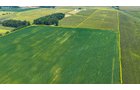 Property photo 1 - LAND AUCTION - 130+/-ACRES OF PRODUCTIVE FARMLAND OFFERED IN 2 TRACTS IN ST JOSEPH COUNTY, INDIANA
