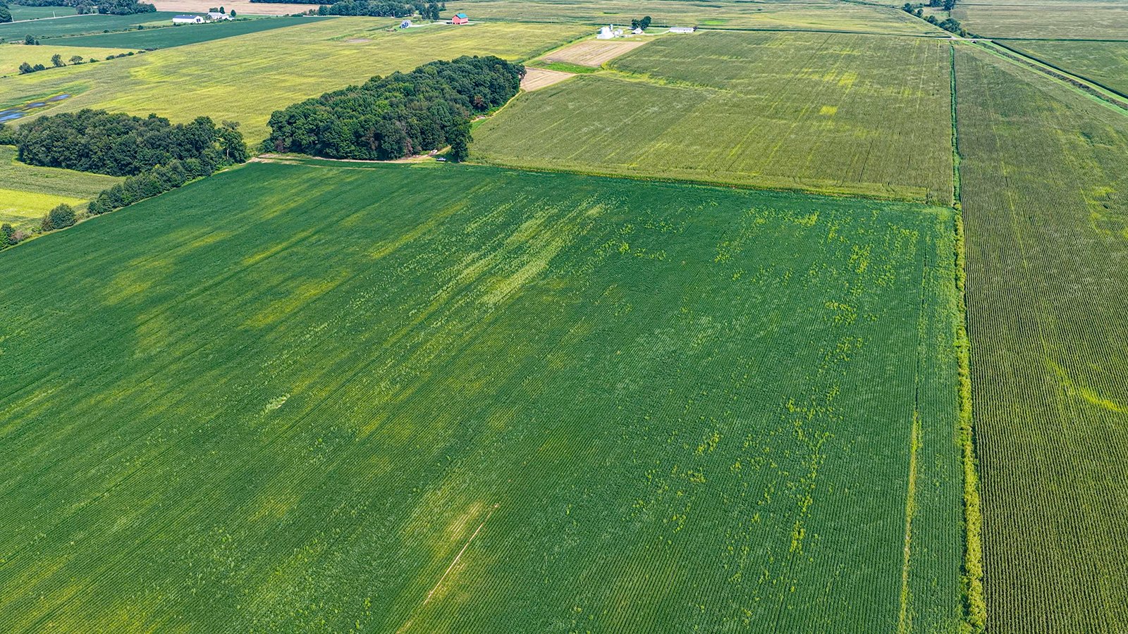 Property photo 13 - LAND AUCTION - 130+/-ACRES OF PRODUCTIVE FARMLAND OFFERED IN 2 TRACTS IN ST JOSEPH COUNTY, INDIANA