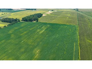 Property photo 13 - LAND AUCTION - 130+/-ACRES OF PRODUCTIVE FARMLAND OFFERED IN 2 TRACTS IN ST JOSEPH COUNTY, INDIANA