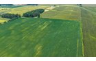 Property photo 13 - LAND AUCTION - 130+/-ACRES OF PRODUCTIVE FARMLAND OFFERED IN 2 TRACTS IN ST JOSEPH COUNTY, INDIANA