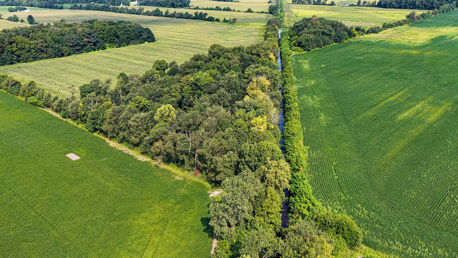 Property photo 14 - LAND AUCTION - 130+/-ACRES OF PRODUCTIVE FARMLAND OFFERED IN 2 TRACTS IN ST JOSEPH COUNTY, INDIANA
