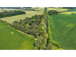Property photo 14 - LAND AUCTION - 130+/-ACRES OF PRODUCTIVE FARMLAND OFFERED IN 2 TRACTS IN ST JOSEPH COUNTY, INDIANA