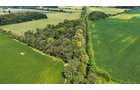 Property photo 14 - LAND AUCTION - 130+/-ACRES OF PRODUCTIVE FARMLAND OFFERED IN 2 TRACTS IN ST JOSEPH COUNTY, INDIANA