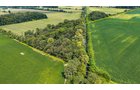 Property photo 2 - LAND AUCTION - 130+/-ACRES OF PRODUCTIVE FARMLAND OFFERED IN 2 TRACTS IN ST JOSEPH COUNTY, INDIANA
