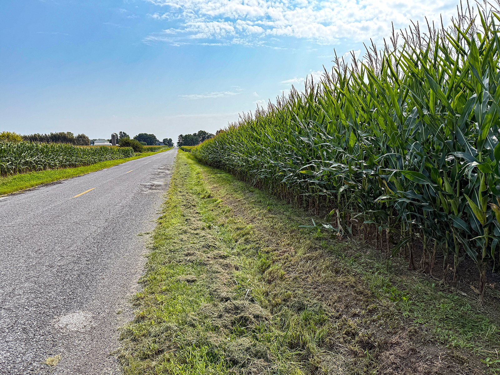 Property photo 20 - LAND AUCTION - 130+/-ACRES OF PRODUCTIVE FARMLAND OFFERED IN 2 TRACTS IN ST JOSEPH COUNTY, INDIANA