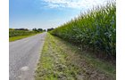 Property photo 20 - LAND AUCTION - 130+/-ACRES OF PRODUCTIVE FARMLAND OFFERED IN 2 TRACTS IN ST JOSEPH COUNTY, INDIANA