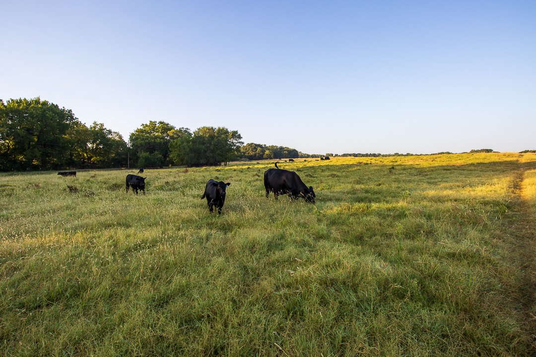 Property photo 15 - LOST CREEK RANCH - 158+/- ACRES & MINERALS IN PERKINS, OK