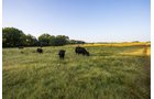 Property photo 15 - LOST CREEK RANCH - 158+/- ACRES & MINERALS IN PERKINS, OK