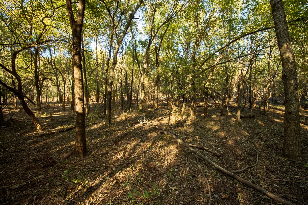 Property photo 24 - LOST CREEK RANCH - 158+/- ACRES & MINERALS IN PERKINS, OK
