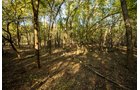 Property photo 24 - LOST CREEK RANCH - 158+/- ACRES & MINERALS IN PERKINS, OK