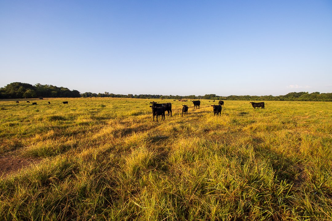 Property photo 29 - LOST CREEK RANCH - 158+/- ACRES & MINERALS IN PERKINS, OK