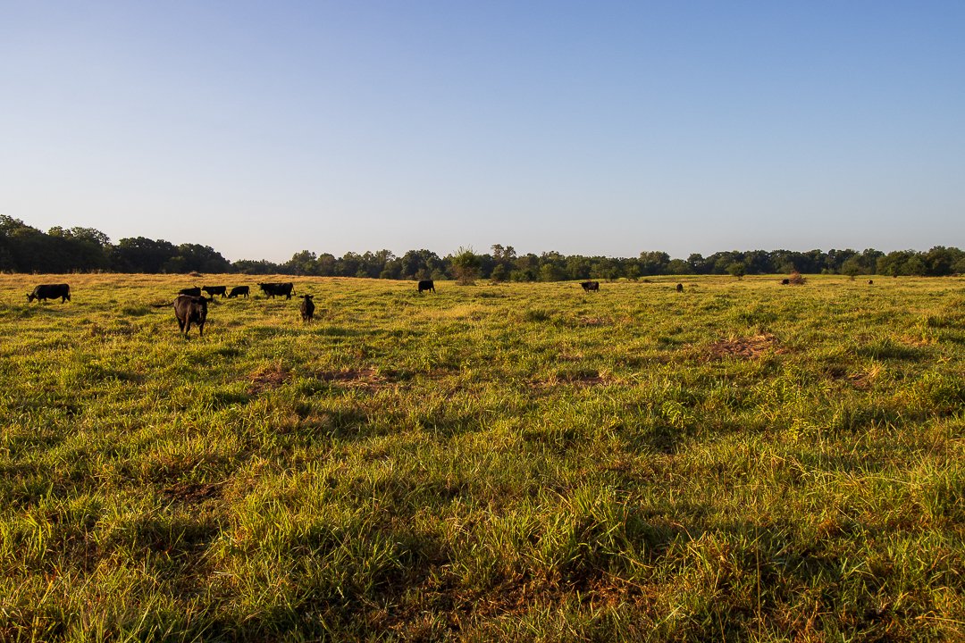 Property photo 30 - LOST CREEK RANCH - 158+/- ACRES & MINERALS IN PERKINS, OK