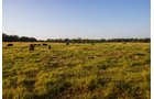 Property photo 30 - LOST CREEK RANCH - 158+/- ACRES & MINERALS IN PERKINS, OK