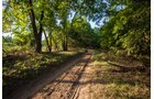 Property photo 35 - LOST CREEK RANCH - 158+/- ACRES & MINERALS IN PERKINS, OK