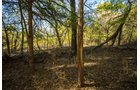 Property photo 36 - LOST CREEK RANCH - 158+/- ACRES & MINERALS IN PERKINS, OK