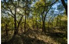 Property photo 38 - LOST CREEK RANCH - 158+/- ACRES & MINERALS IN PERKINS, OK