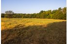 Property photo 41 - LOST CREEK RANCH - 158+/- ACRES & MINERALS IN PERKINS, OK