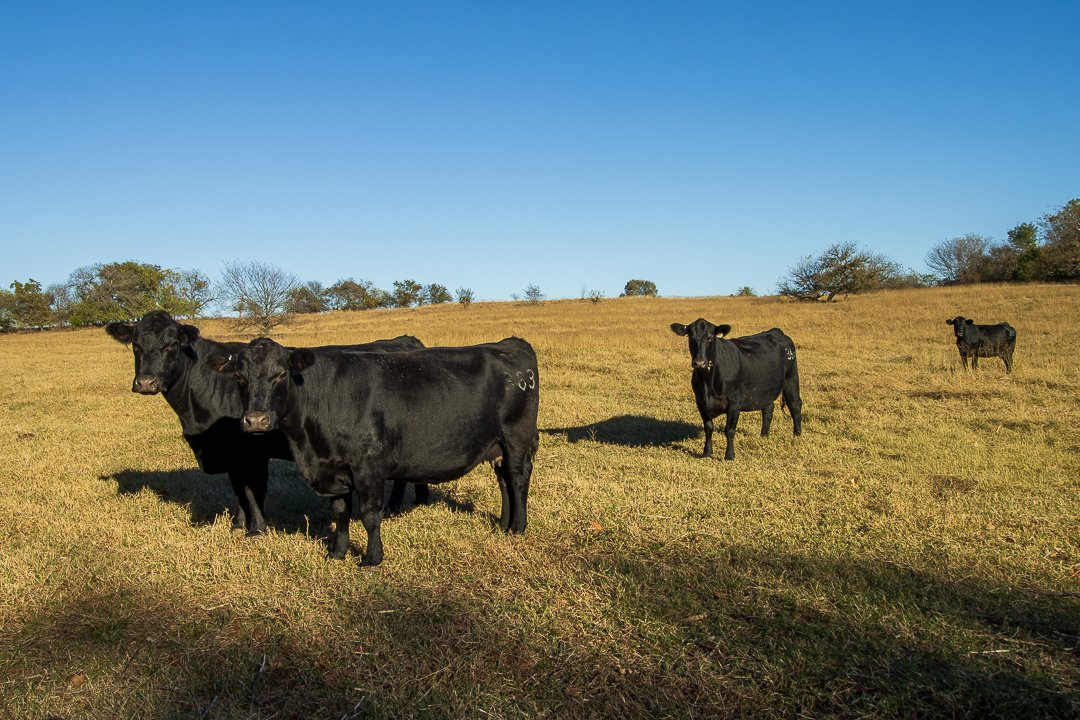 Property photo 47 - LOST CREEK RANCH - 158+/- ACRES & MINERALS IN PERKINS, OK