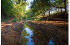 Property photo 51 - LOST CREEK RANCH - 158+/- ACRES & MINERALS IN PERKINS, OK