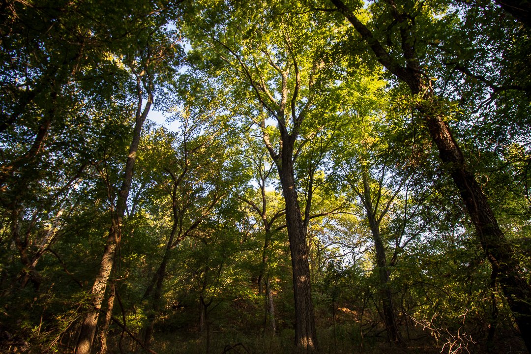 Property photo 60 - LOST CREEK RANCH - 158+/- ACRES & MINERALS IN PERKINS, OK