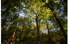Property photo 60 - LOST CREEK RANCH - 158+/- ACRES & MINERALS IN PERKINS, OK