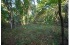 Property photo 61 - LOST CREEK RANCH - 158+/- ACRES & MINERALS IN PERKINS, OK