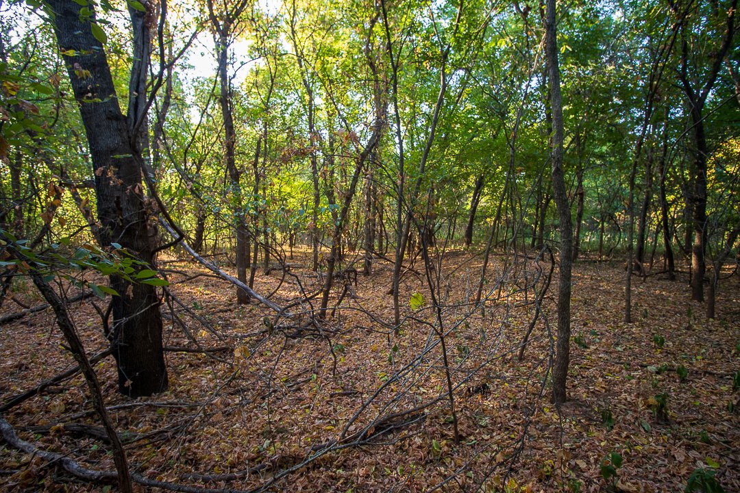 Property photo 62 - LOST CREEK RANCH - 158+/- ACRES & MINERALS IN PERKINS, OK
