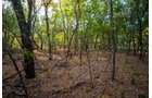 Property photo 62 - LOST CREEK RANCH - 158+/- ACRES & MINERALS IN PERKINS, OK