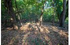 Property photo 63 - LOST CREEK RANCH - 158+/- ACRES & MINERALS IN PERKINS, OK