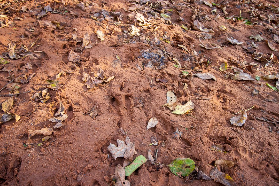 Property photo 58 - LOST CREEK RANCH - 158+/- ACRES & MINERALS IN PERKINS, OK