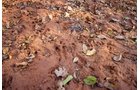 Property photo 58 - LOST CREEK RANCH - 158+/- ACRES & MINERALS IN PERKINS, OK