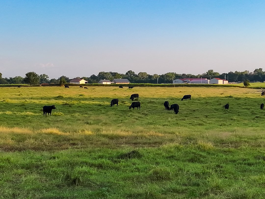 Property photo 14 - LOST CREEK RANCH - 158+/- ACRES & MINERALS IN PERKINS, OK