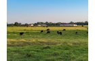 Property photo 14 - LOST CREEK RANCH - 158+/- ACRES & MINERALS IN PERKINS, OK