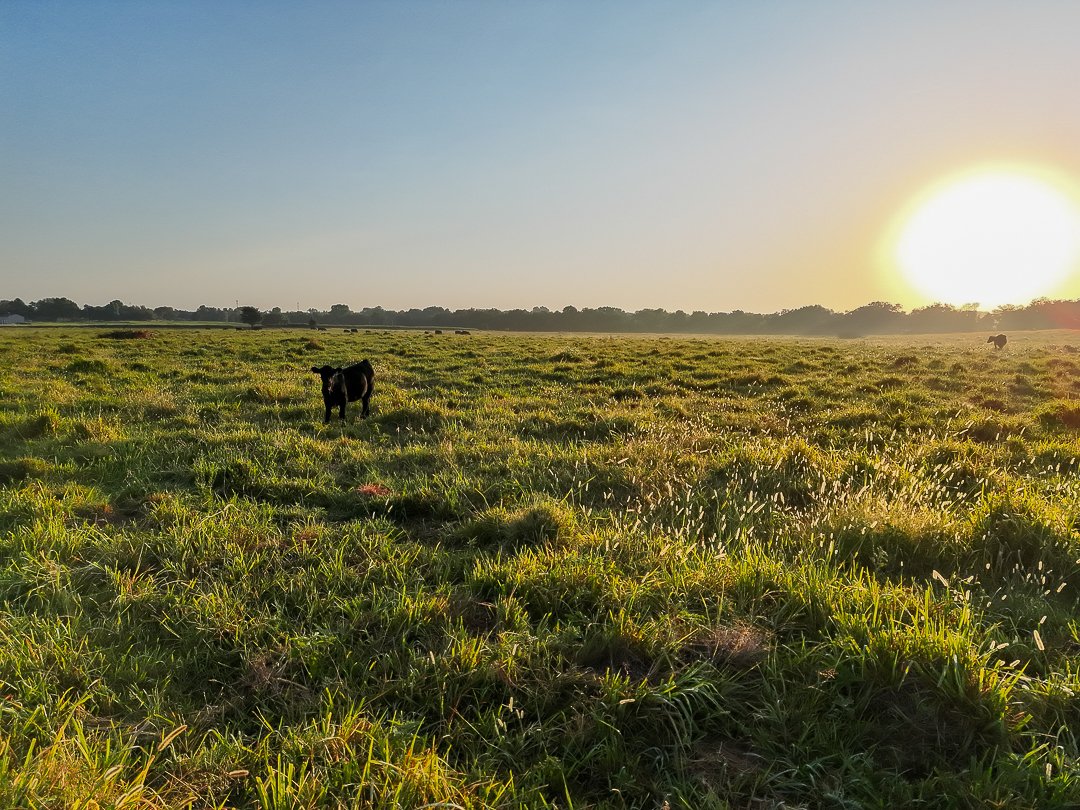 Property photo 16 - LOST CREEK RANCH - 158+/- ACRES & MINERALS IN PERKINS, OK