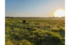 Property photo 16 - LOST CREEK RANCH - 158+/- ACRES & MINERALS IN PERKINS, OK