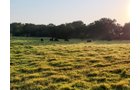 Property photo 28 - LOST CREEK RANCH - 158+/- ACRES & MINERALS IN PERKINS, OK
